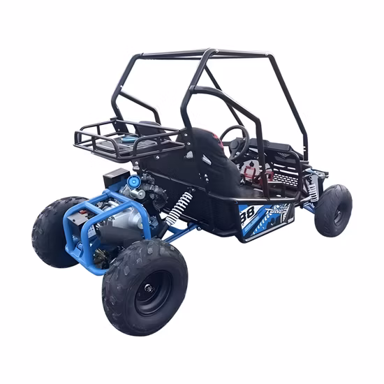 4*4 Electric Buggy and Go Kart