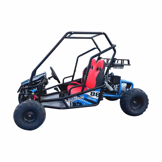 4*4 Electric Buggy and Go Kart