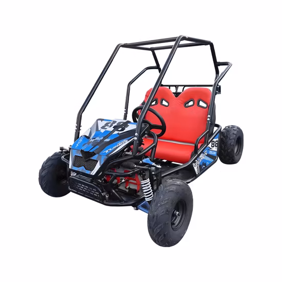 4*4 Electric Buggy and Go Kart