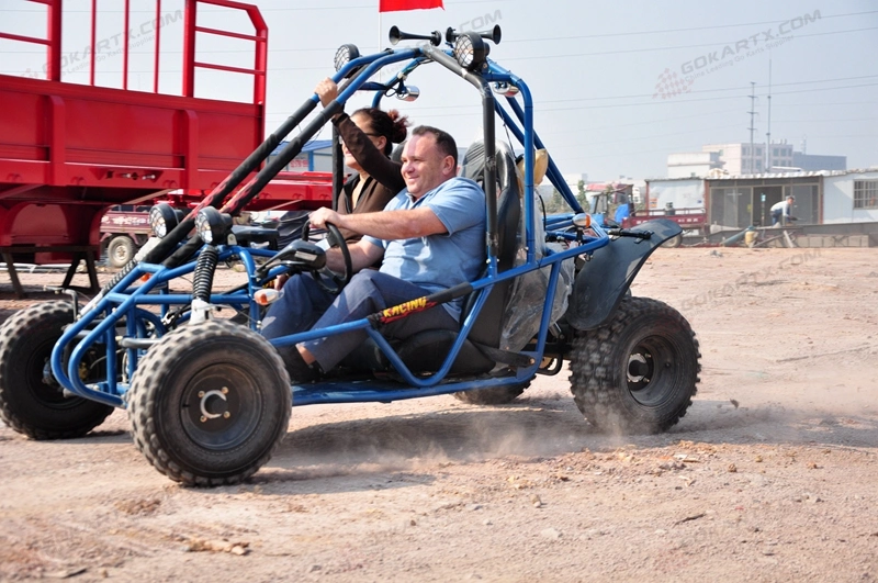 Wholesale China Dune Buggy Factory 250cc Petrol Used Gas Cross Go Kart on 2 Seater