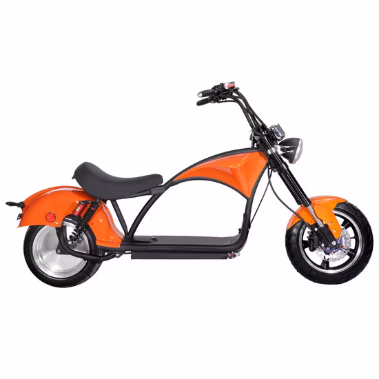 1000W City Coco Two Wheel Fat Wheel Offroad Scooter Electric