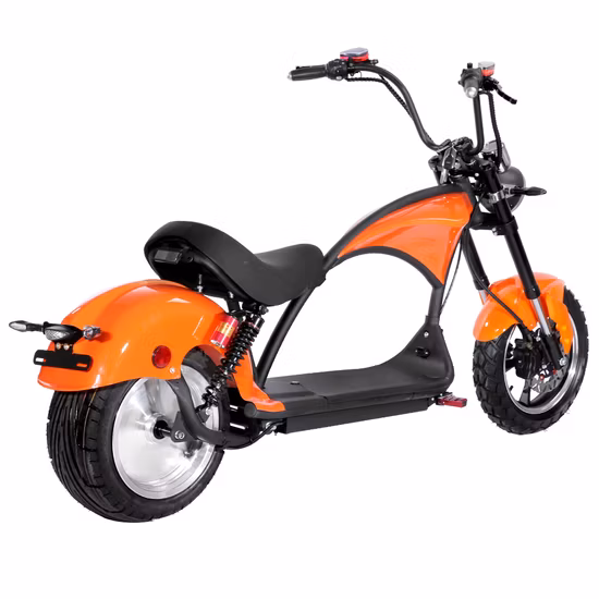 1000W City Coco Two Wheel Fat Wheel Offroad Scooter Electric
