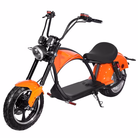 1000W City Coco Two Wheel Fat Wheel Offroad Scooter Electric