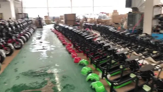 1000W City Coco Two Wheel Fat Wheel Offroad Scooter Electric