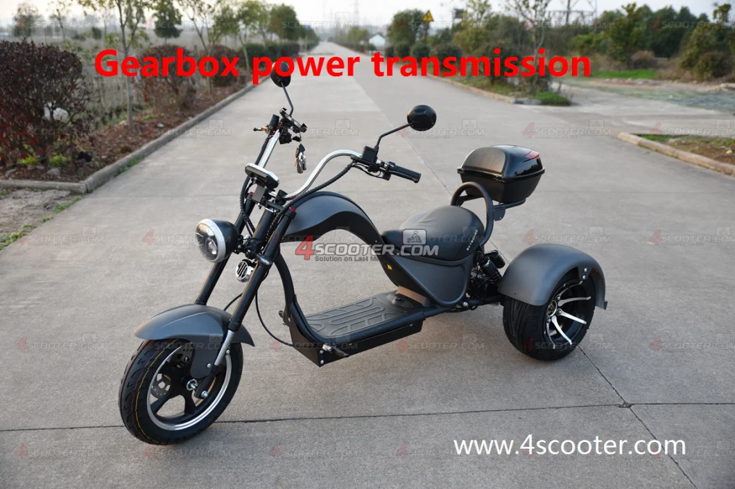 New Generation Tri-Wheels Electric Chopper with 2 Rear Wheels Drive Electric Fast Scooter