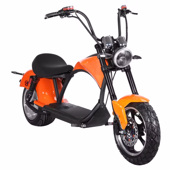 1000W City Coco Two Wheel Fat Wheel Offroad Scooter Electric