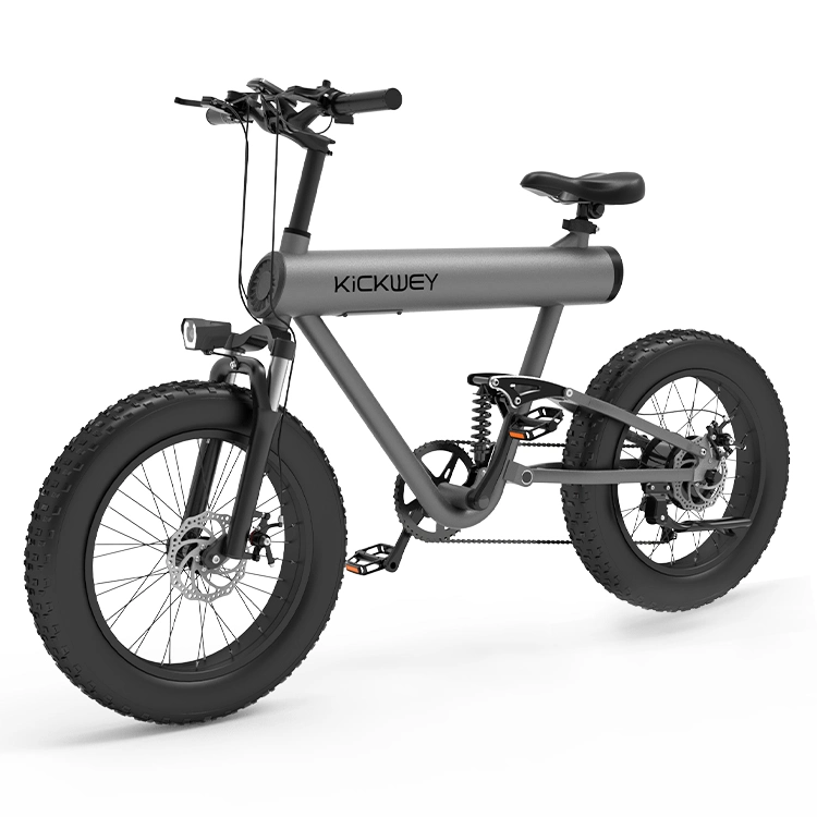 Fast Fat Tire off Road Electric Dirt Bike Mountain City Ebike