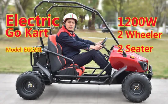 Proveedor de China Venta barata 60V Electric Farm off Road Go Kart para niños adultos con los mejores precios