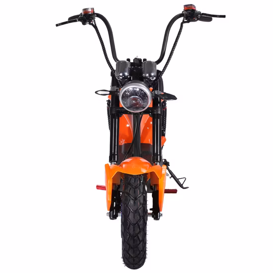 1000W City Coco Two Wheel Fat Wheel Offroad Scooter Eléctrico