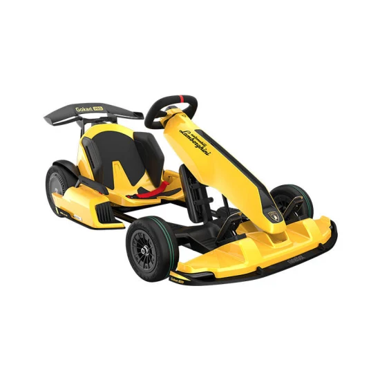 Ninebot Seg Way Xiaomi Lamborghini Gokart Karting dirección Cross Buggy coche carreras adultos todoterreno Go-Kart eléctrico Go Karts