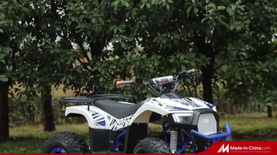 Nuevo ATV eléctrico para niños, quad para adultos, 4 ruedas, 60 V, 1000 W