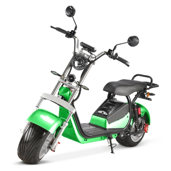 Fat Tire City Coco Motocicleta eléctrica Scooters Bicicleta eléctrica E Scooter con EEC