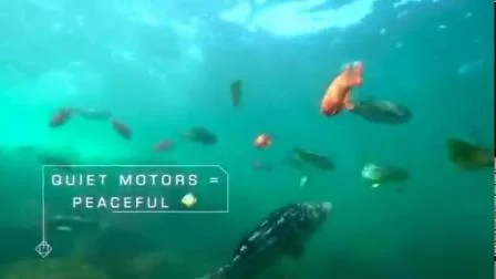 2020 mar adulto deportes impermeables Seaflyer mar Scooter equipo eléctrico subacuático surf para esnórquel buceo libre