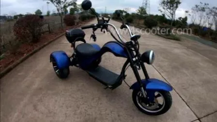 Chopper eléctrico de tres ruedas de nueva generación con 2 ruedas traseras, scooter eléctrico rápido