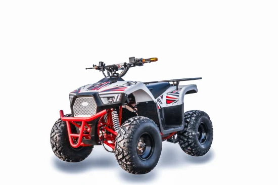 2022 60V 1000W Quad eléctrico ATV para adultos/adolescentes