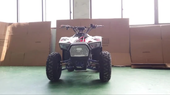 Venta al por mayor Quad ATV 125cc cuatro ruedas ATV motocicleta eléctrica todo terreno bicicleta todoterreno bicicleta de montaña personalizable