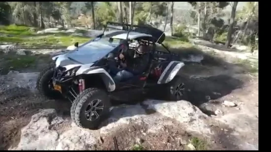 500cc 4X4 28kw Asientos dobles todoterreno Dune Buggy UTV Go Kart