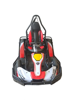 Suyang Mini Go Kart eléctrico de 4 ruedas con CE a la venta